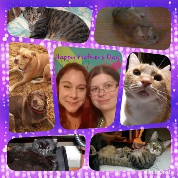 Meet your Posher, Jennifer - Picture 12 of 15